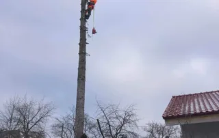 Rizikový výrub stromov Košice, rizikový orez stromov Košice