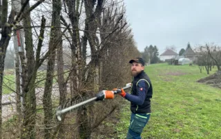 Strihanie živých plotov Košice